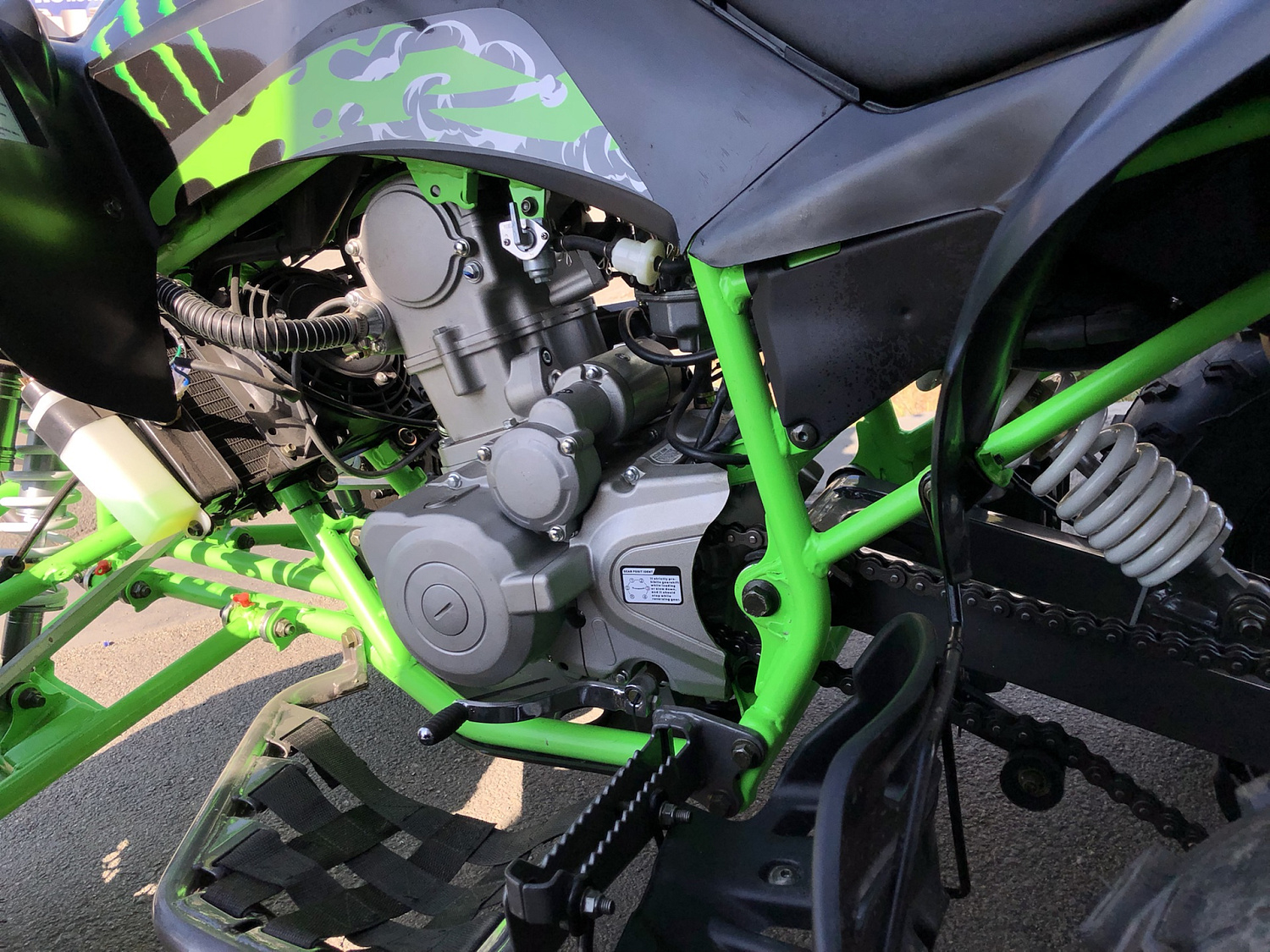 Квадроцикл PROMAX RAPTOR 300 NEW Monster в Таганроге