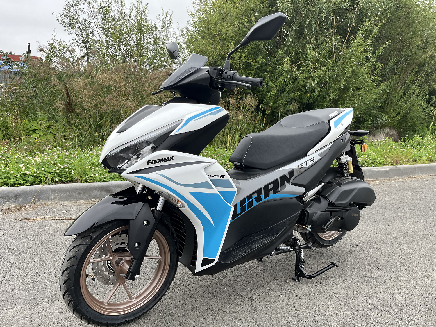 Скутер PROMAX TURAN 250 (49) в Таганроге