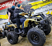 Квадроцикл PROMAX ATV 250 (2025) в Таганроге
