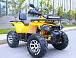 Квадроцикл MOTOLAND (МОТОЛЕНД) VOX200 WILD TRACK X PRO (баланс. вал) в Таганроге