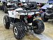 Квадроцикл PROMAX WILD 2.0 190 LUX в Таганроге
