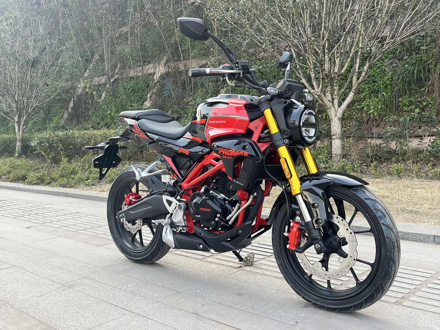 Мотоцикл PROMAX CB300 в Таганроге