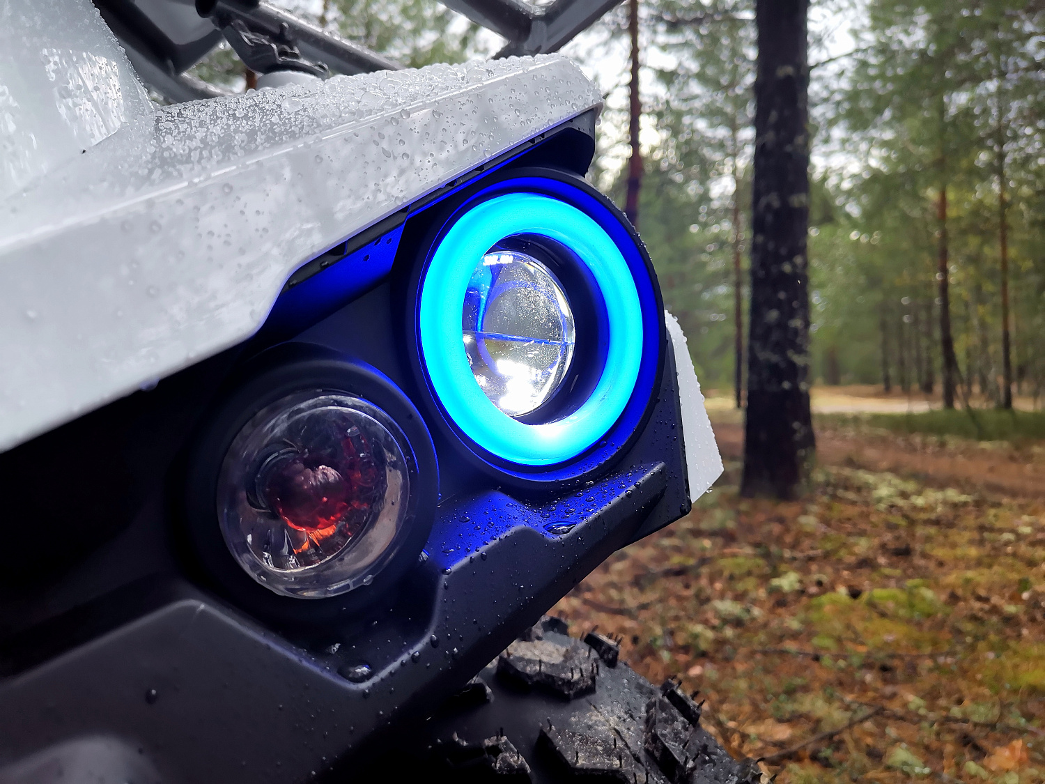 Квадроцикл PROMAX RENEGADE 280 (2025) в Таганроге