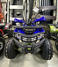 Квадроцикл PROMAX WILD 2.0 190 PRO (2025) в Таганроге